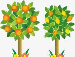 桔子树卡通绿色树结果实高清图片