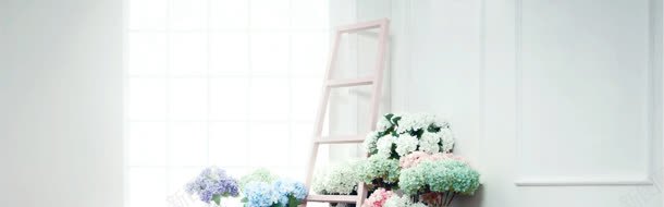 小清新白色室内花朵jpg设计背景_新图网 https://ixintu.com 室内 清新 白色 花朵