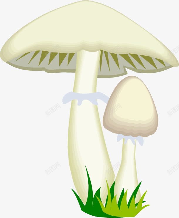 卡通png免抠素材_新图网 https://ixintu.com 伞菇 卡通 白菇 蘑菇