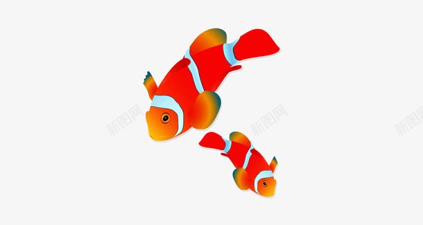 红色小丑鱼png免抠素材_新图网 https://ixintu.com PNG joker 小丑鱼 手绘 红色 鱼类