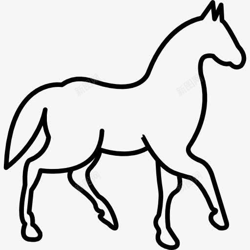 行走的马一只脚抬起图标png_新图网 https://ixintu.com 侧视图 动物 概述 行走 轮廓 马