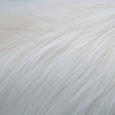 白色动物毛发背景