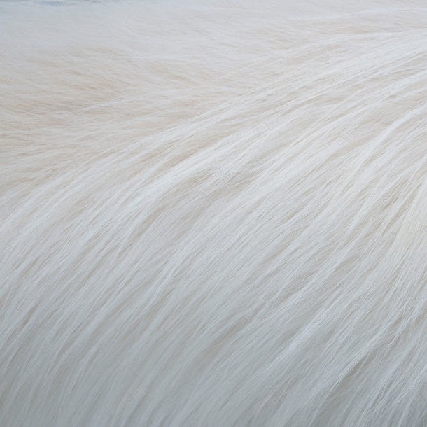 白色动物毛发jpg设计背景_新图网 https://ixintu.com 其它类别 动物 图片素材 毛发 白色 白色动物毛发图片 白色动物毛发图片素材下载 皮毛 背景 背景图案 背景花边