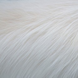 白色动物皮毛背景图片白色动物毛发高清图片