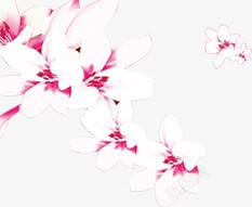 中秋节植物白色花朵海报素材
