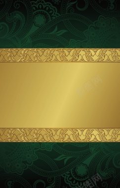 绿色花纹上的金框条背景矢量图背景