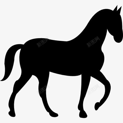 马缓慢行走的姿势图标png_新图网 https://ixintu.com 一边看 动物 动物的轮廓 慢 散步 马 骑马 黑色剪影