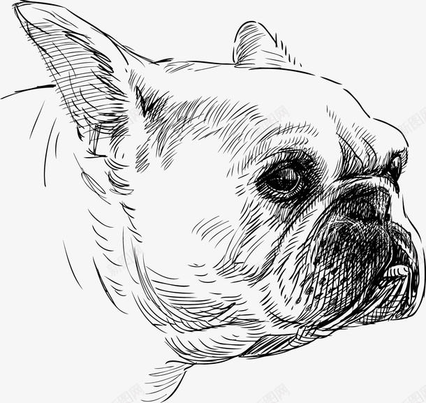 狗矢量图图标ai_新图网 https://ixintu.com 动物 平面设计 手绘 斑点狗 矢量图