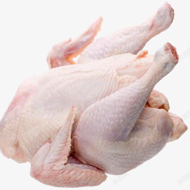 鸡肉png免抠素材_新图网 https://ixintu.com 公鸡 珍珠鸡 鸡图片 鸡的图片