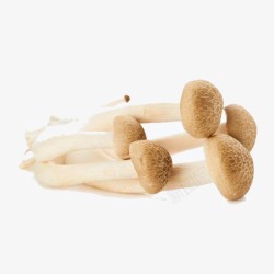 蟹味菇牛扒菌菇蘑菇高清图片