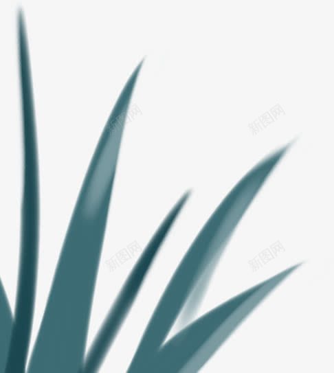 手绘扁平风格创意蓝色的草本植物png免抠素材_新图网 https://ixintu.com 创意 扁平 草本植物 蓝色 风格