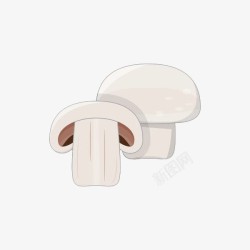 手绘白色双孢蘑菇素材