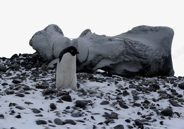 南极风景图png免抠素材_新图网 https://ixintu.com 南极 南极雪 南极风景图 旅游景区 著名景点