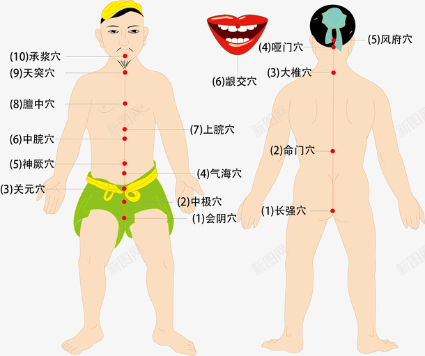 人体经脉图矢量图ai免抠素材_新图网 https://ixintu.com 人体经脉 人体经脉图 人偶 矢量图 矢量文件 矢量设计 经脉 静脉