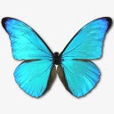 创意合成效果蓝色的蝴蝶素材