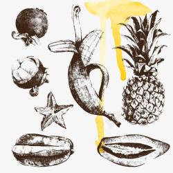 黑白菠萝水果素描插画高清图片