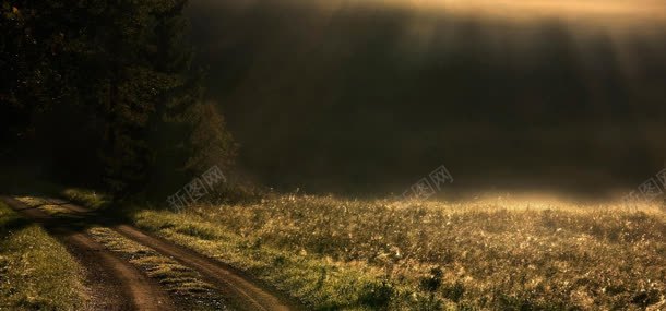 金色草地背景jpg设计背景_新图网 https://ixintu.com 背景 草地 金色