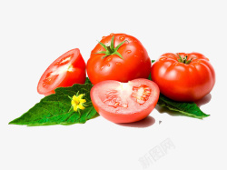电商平面健康饮食西红柿绿叶图标高清图片