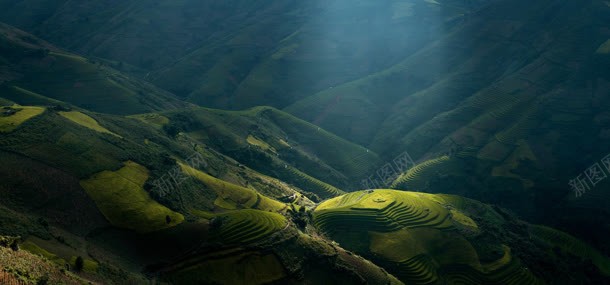 草原背景背景