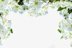 梨花免费素材装饰花架高清图片