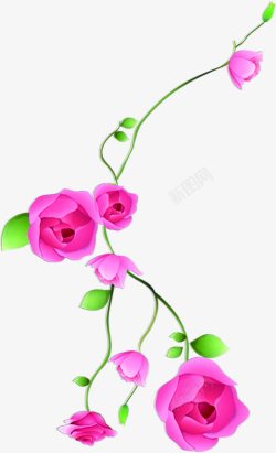 粉色温暖玫瑰花植物素材