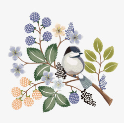 唯美手绘花鸟素材