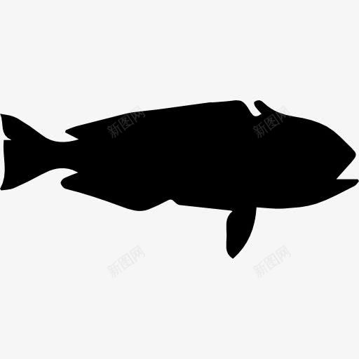鱼形状的方头鱼图标png_新图网 https://ixintu.com 动物 动物王国 形状 方头鱼 轮廓 鱼