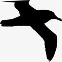 海鸥鸟的轮廓素材