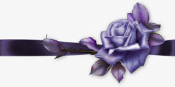 紫飘带紫色花装饰彩带高清图片
