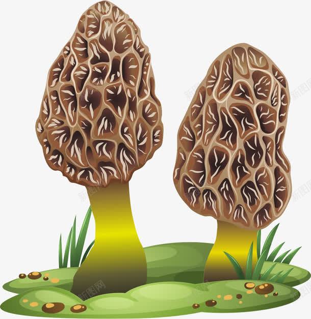 卡通png免抠素材_新图网 https://ixintu.com 卡通 羊肚菌 菇 蘑菇 鸡腿 鸡腿菇