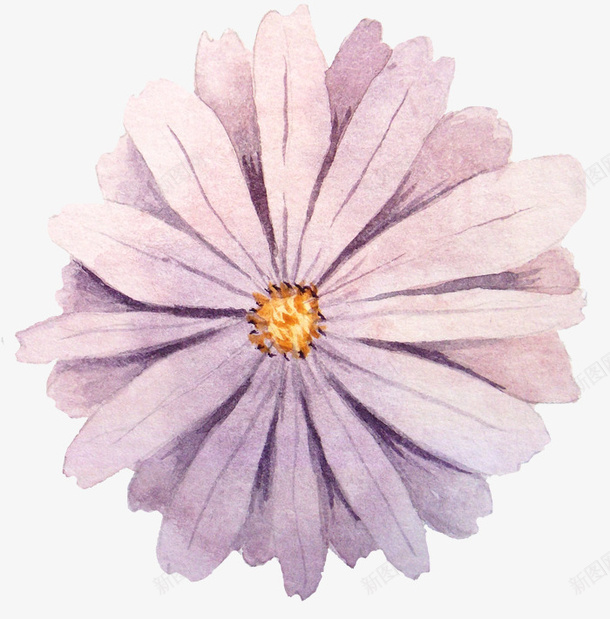 水彩画花卉png免抠素材_新图网 https://ixintu.com 唯美 小清新 手绘 水彩画 花卉