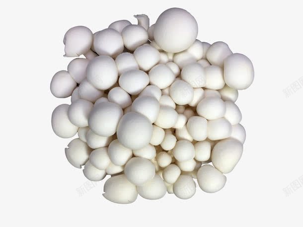 白色的蘑菇png免抠素材_新图网 https://ixintu.com png素材 白蘑菇 菌类 蘑菇
