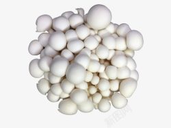 白色的蘑菇素材