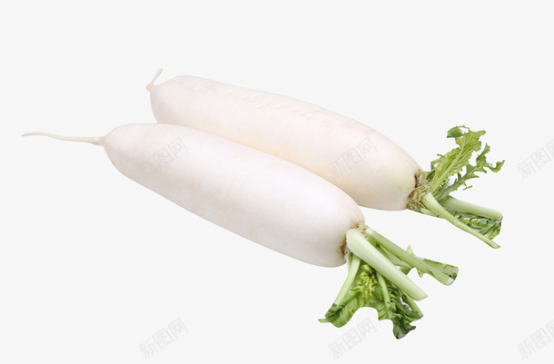 白萝卜蔬菜啊png免抠素材_新图网 https://ixintu.com 爱心蔬菜 白萝卜 菜类图片 萝卜 蔬菜 青菜