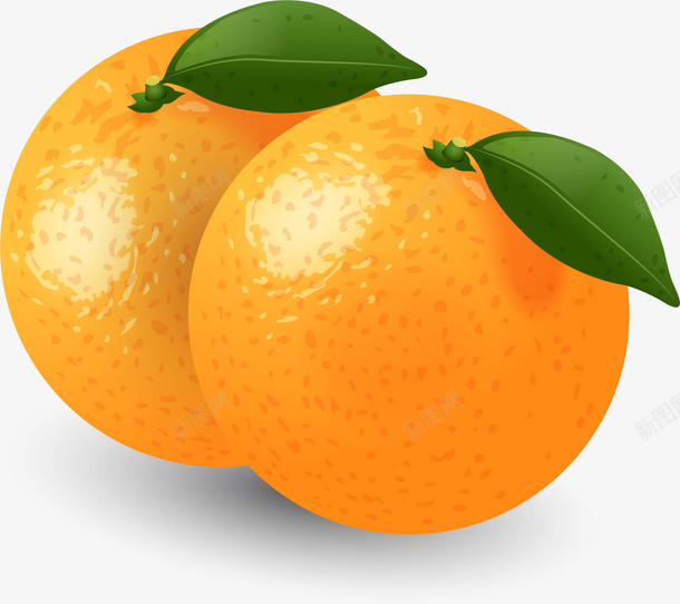 手绘两个橙子矢量图ai免抠素材_新图网 https://ixintu.com 手绘 橙子 水果 矢量图