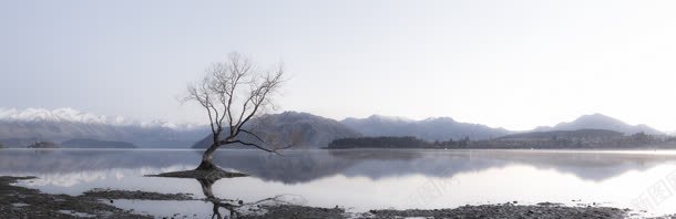 清新湖泊小树风景jpg设计背景_新图网 https://ixintu.com 小树 清新 湖泊 风景