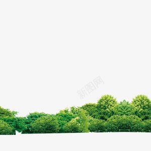 树丛png免抠素材_新图网 https://ixintu.com 树丛 植物 绿色植物
