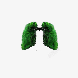 植物肺部素材