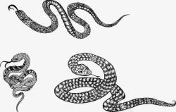 素描蛇矢量图3款素描蛇高清图片