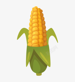 玉米秋收矢量图手绘卡通美味鲜玉米高清图片