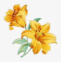 金色手绘花素材