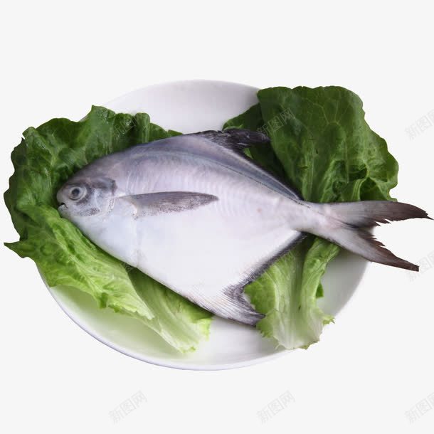 放在盘子里的一条鲳鱼png免抠素材_新图网 https://ixintu.com 一条鲳鱼 产品实物图 生菜 盘子 鱼类