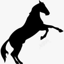 马变养马的脚的轮廓图标高清图片