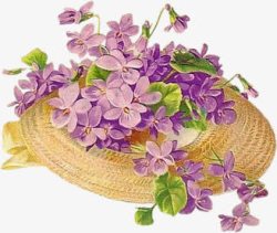 竹帽紫色小花竹帽高清图片