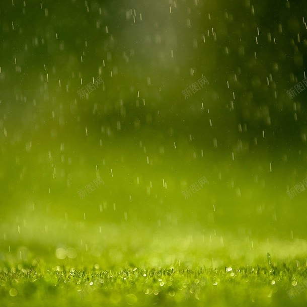 绿色雨点大屏背景jpg设计背景_新图网 https://ixintu.com 绿色 背景 雨点