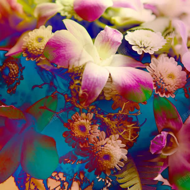 彩色的花朵jpg设计背景_新图网 https://ixintu.com 其它类别 图片素材 彩色的花朵图片 彩色的花朵图片素材下载 彩色花朵 背景花边 花卉 花朵 鲜花
