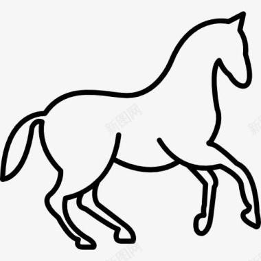 骑马舞的轮廓图标图标