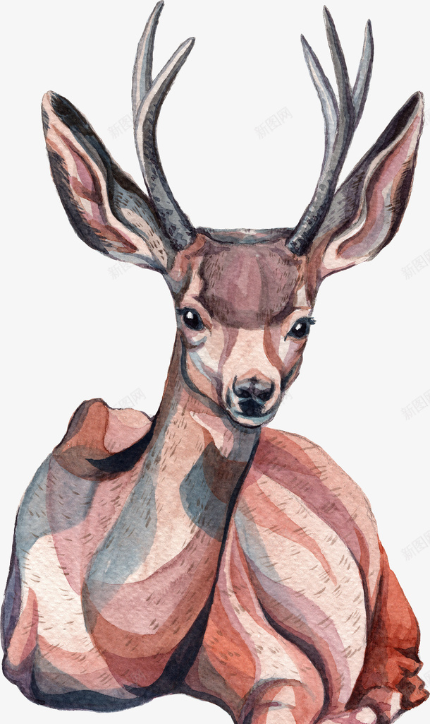 卡通手绘的小鹿png免抠素材_新图网 https://ixintu.com 动漫动画 动物 卡通手绘 小鹿 手绘小鹿 棕色小鹿 装饰图