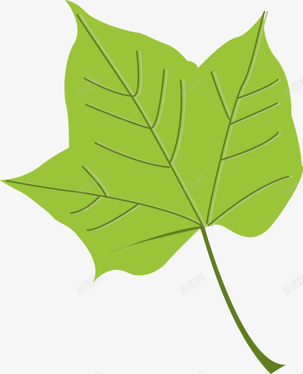 一片绿油油的叶子png免抠素材_新图网 https://ixintu.com 创意叶子 叶子 叶子手绘图 小叶子 手绘 手绘叶子 树叶 树叶图 矢量叶子 绿色叶子 绿色的
