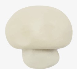 白蘑菇素材